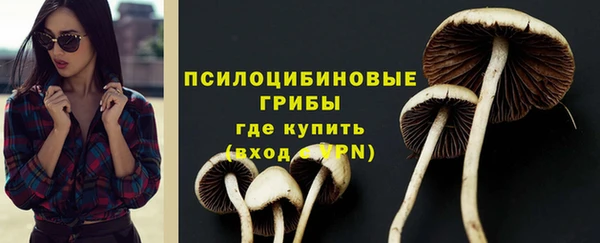 jwh Сосновоборск