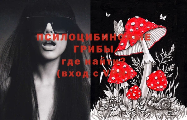 mix Арсеньев