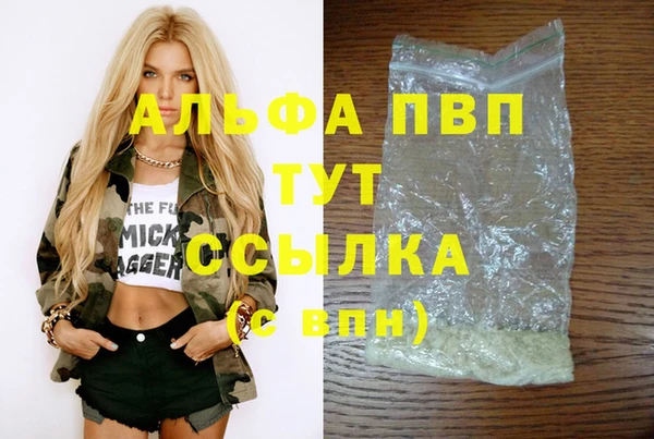 гашик Баксан