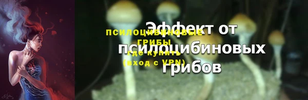 гашик Баксан