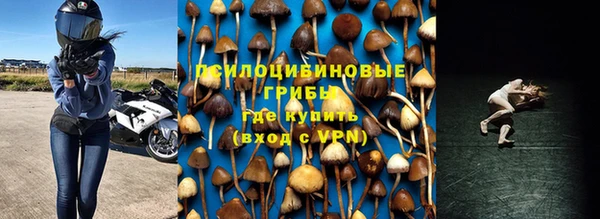 гашик Баксан